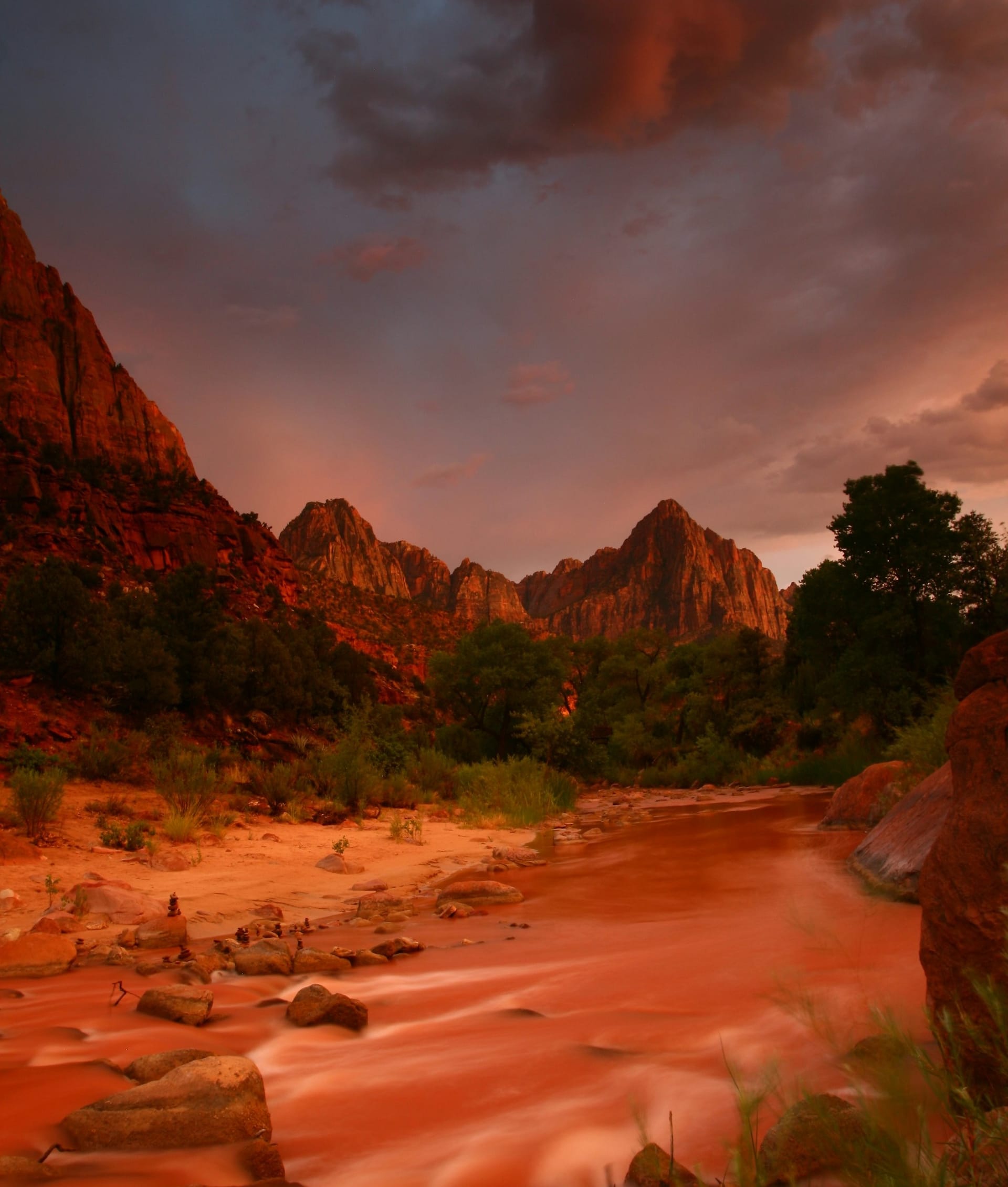 Desert Plants and Their Whisperings