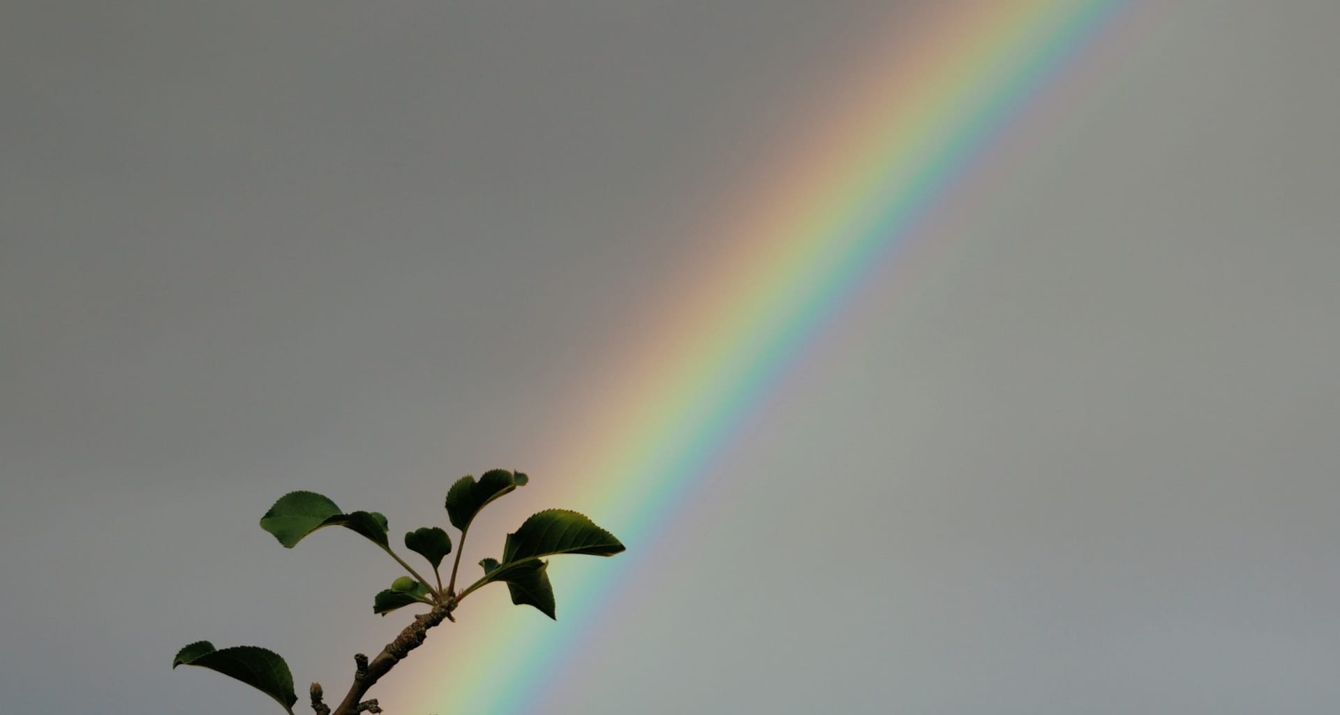 A Mindful Sit with Tamala