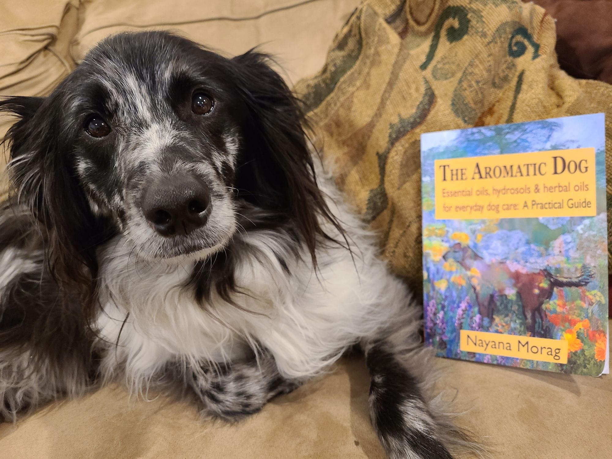 Doterra dog care sales guide