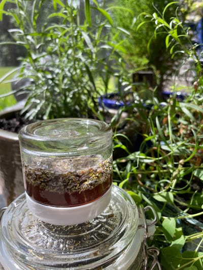 Herbal Honey Infusions