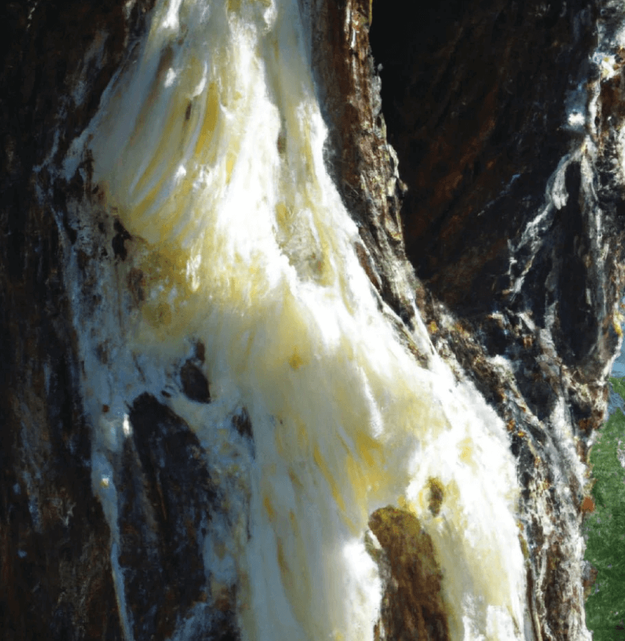 Elemi February 2026 Replay