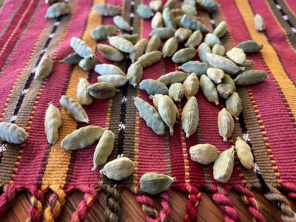 The Plant Behind the Oil: Cardamom