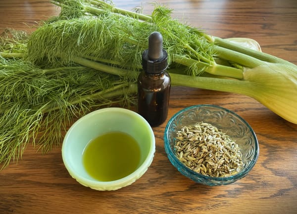 Fennel Seed Infused Oil