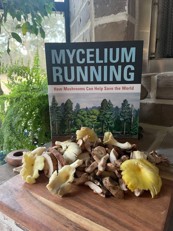 Mycelium Running: How Mushrooms Can Help Save the World