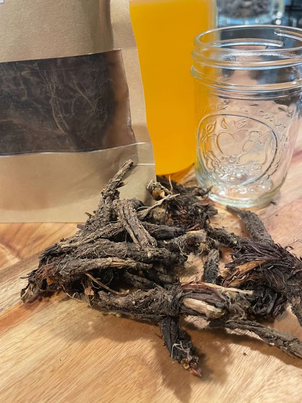 Spikenard Root Infusion