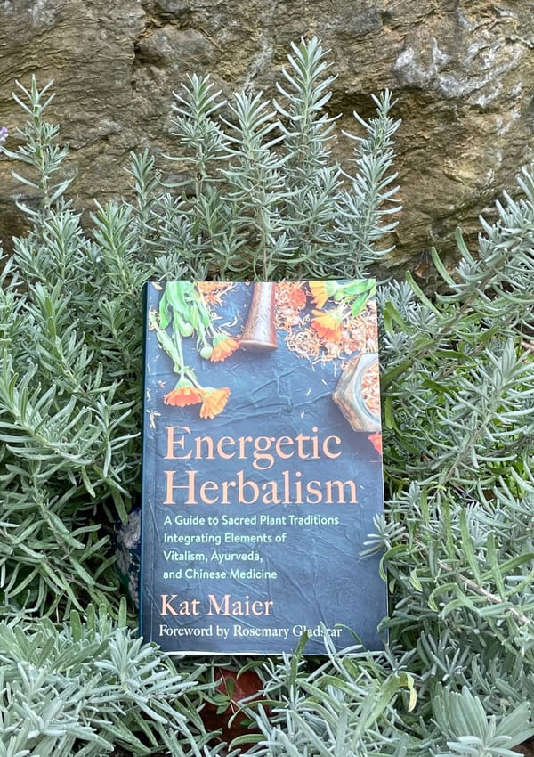 Beachy Aromatic Reads: Energetic Herbalism