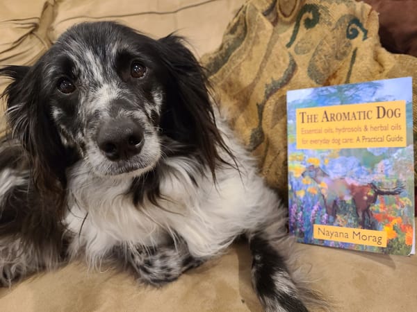 The Aromatic Dog: A Book Review