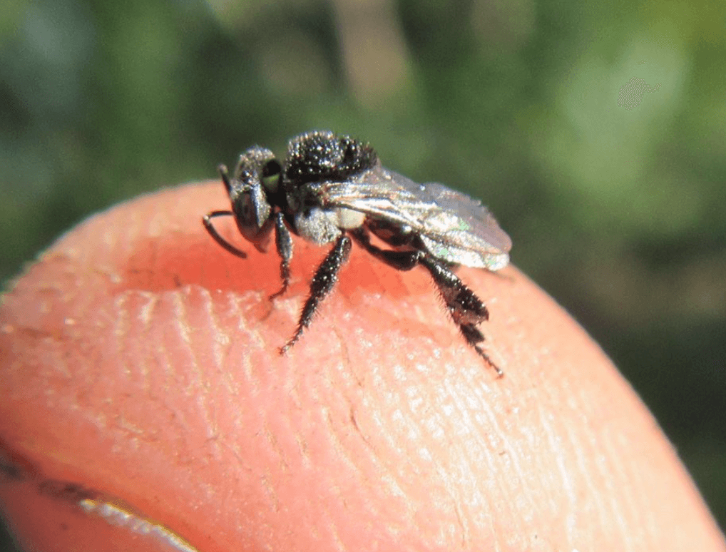 Tiny Helpers