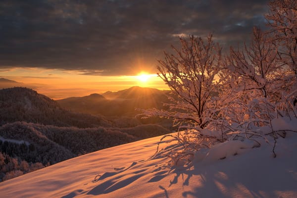 Yule Sun Cider